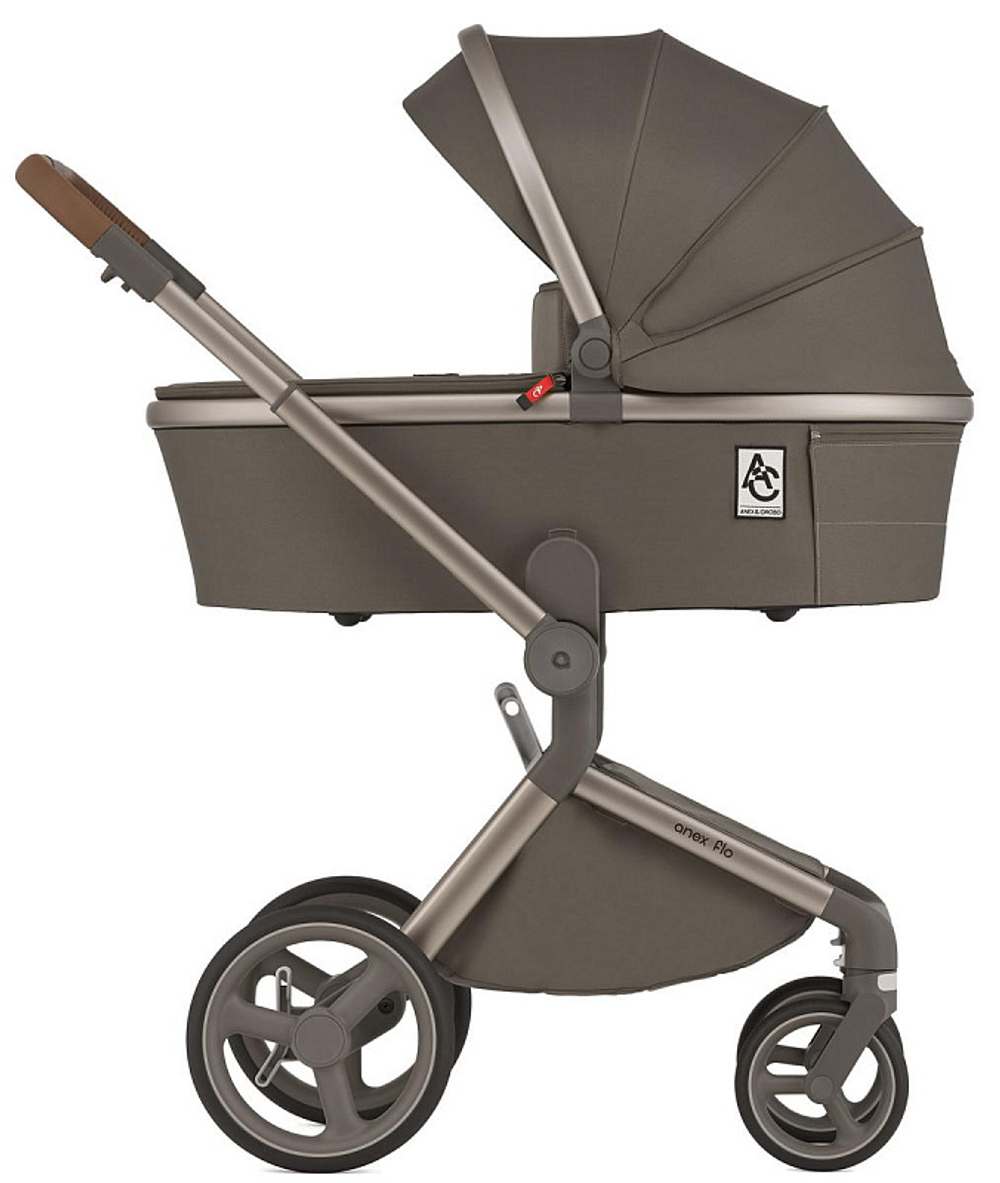 Детская коляска Anex Flo 2 в 1 Cesar