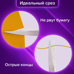 Ножницы BRAUBERG "Classic+" 205 мм черно-синие классической формы резиновые вставки (4 штуки в упаковке)
