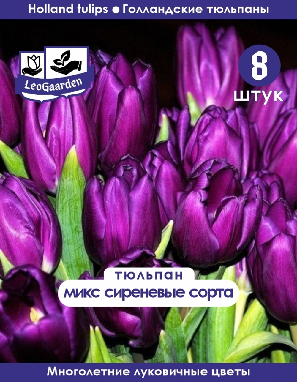 Луковичные цветы, Микс сиреневых сортов, 8 шт