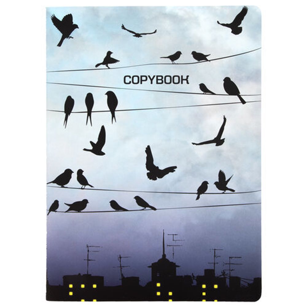 Тетрадь 60 л. в клетку обложка SoftTouch, бежевая бумага 70 г/м2, сшивка, В5 (179х250 мм), ТУМАН, BRAUBERG, 1403819