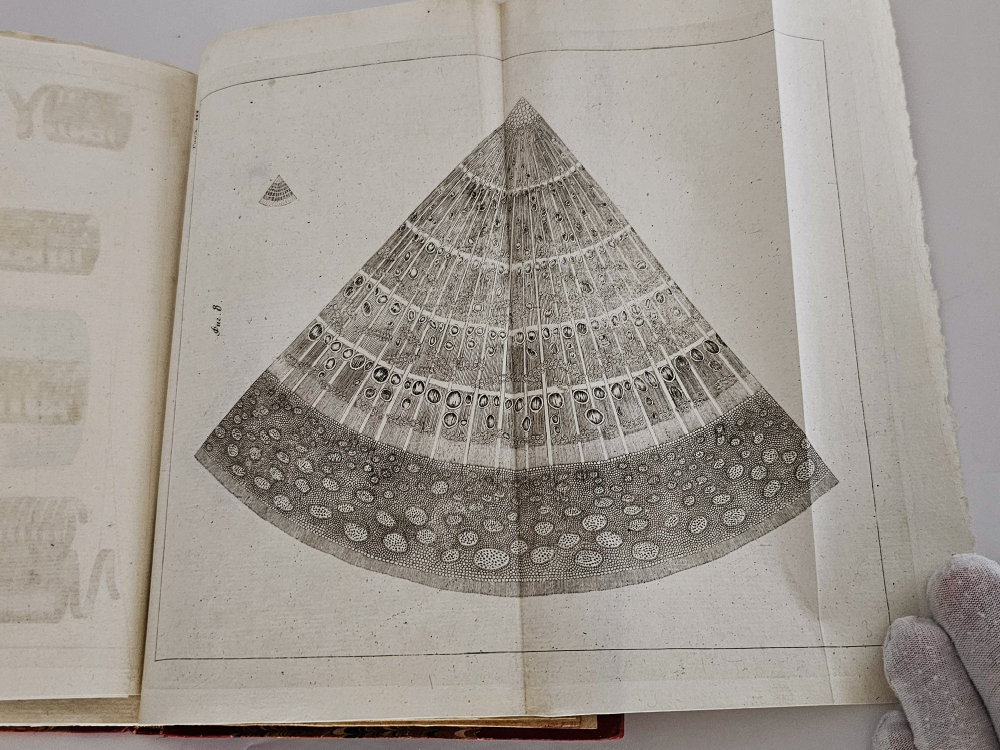 "Основания земледельческой химии". Гумфри Деви. 1832 г.