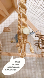 Качели для попугаев жёлтые