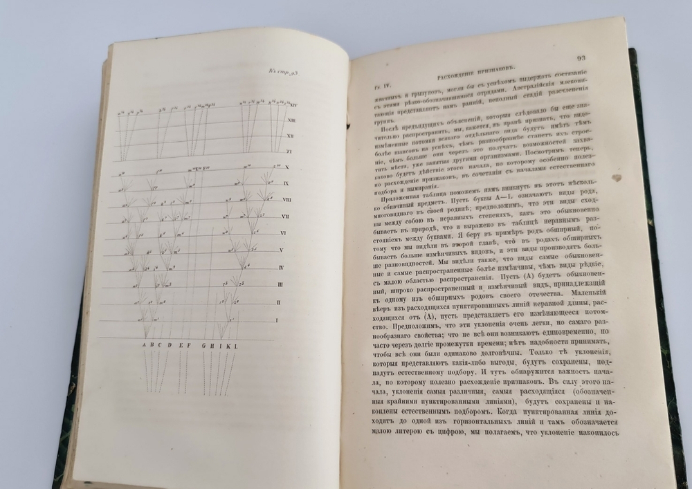 "О происхождении видов в царствах животном и растительном путем естественного подбора родичей или о сохранении усовершенствованных пород в борьбе за существование". Сочинение Чарльза Дарвина. 1864г. - редкая книга