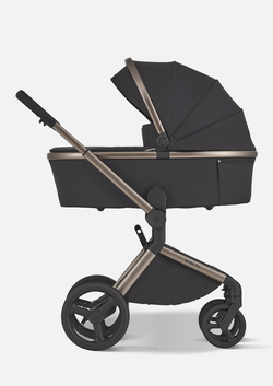 Anex Детская коляска Flo 2 в 1 Solo