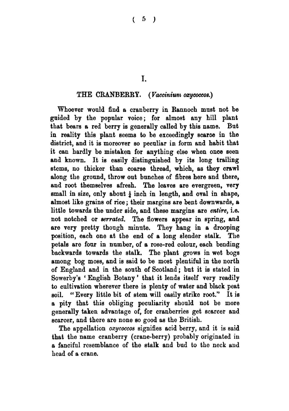 The Berries and Heaths of Rannoch, by a Snowdrop | Rannoch