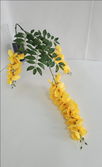 Глициния / Арт 1169