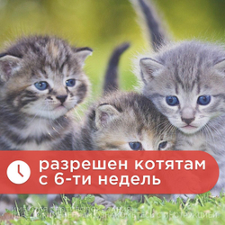 Сироп от гельминтов, профилактика дирофиляриоза для кошек менее 4 кг Гельминтал (Neoterica), 5мл. Празиквантел/ Моксидектин