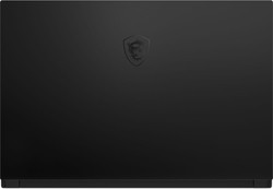 Ноутбук 15.6" MSI GS66 Stealth 10SGS-243RU (9S7-16V112-243)