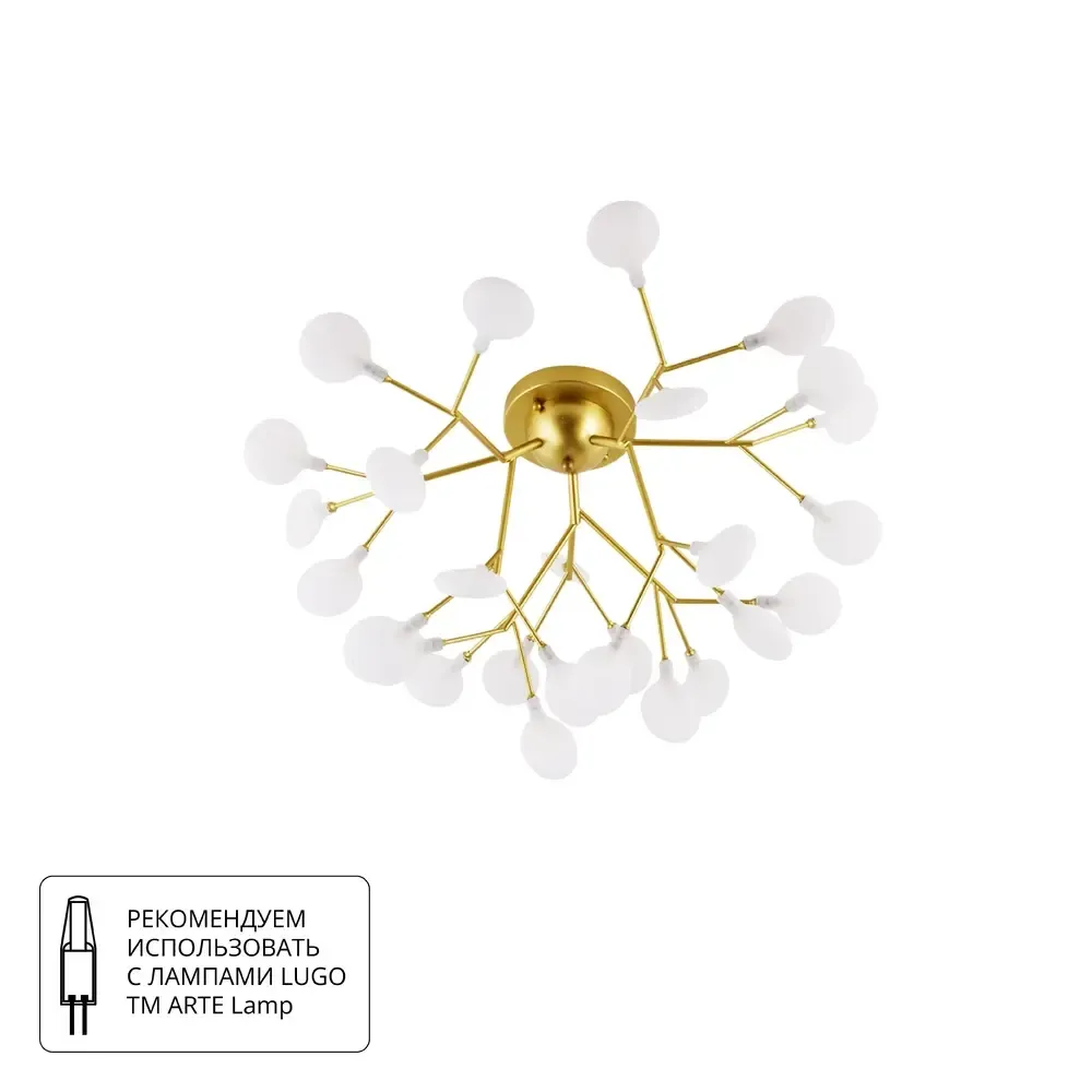 Потолочная люстра Arte Lamp