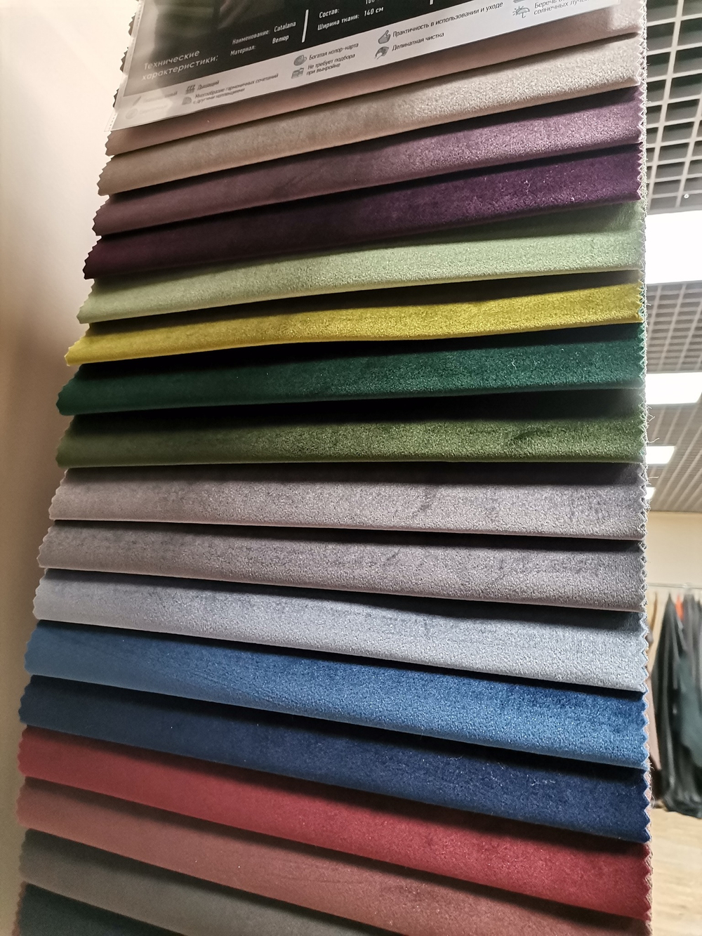 Велюр Catalana (Каталана) 14