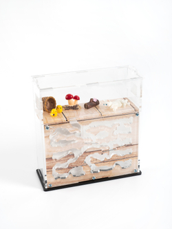 Муравьиная ферма "ДРЕВЕСНАЯ" декор + корм (170*170*65мм)