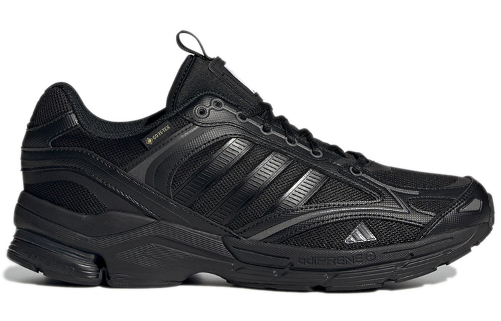 Кроссовки Adidas Spiritain 2000 Gtx