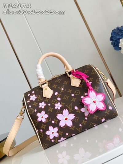 Louis Vuitton Speedy 25