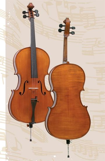 AW-C044 Workshop Gems 1 Виолончель 4/4, Gliga