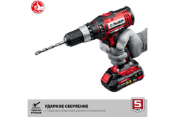 Ударная дрель-шуруповер ЗУБР 18В, 2 АКБ 2Ач, в кейсе ДШУ-185-22