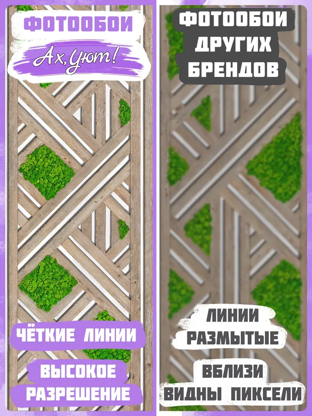 3D Фотообои растения и геометрия