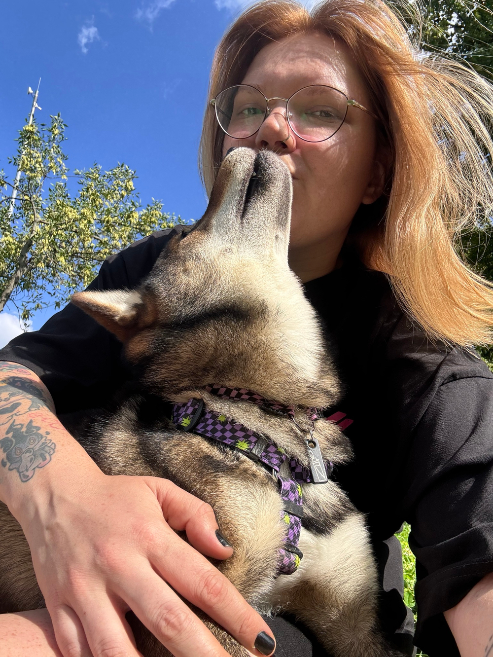 Шлейка Lav Flash+Neon Riot