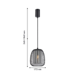 Подвесной светильник F-Promo Galler 4349-1P