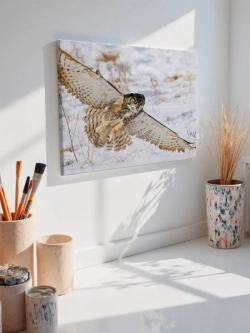 Картина на стену 40 X 50 Сова