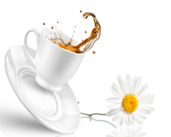 Кофе и ромашка