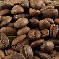 Кофе в зернах Santa Fe Barista Gold Special Blend Арабика 1кг