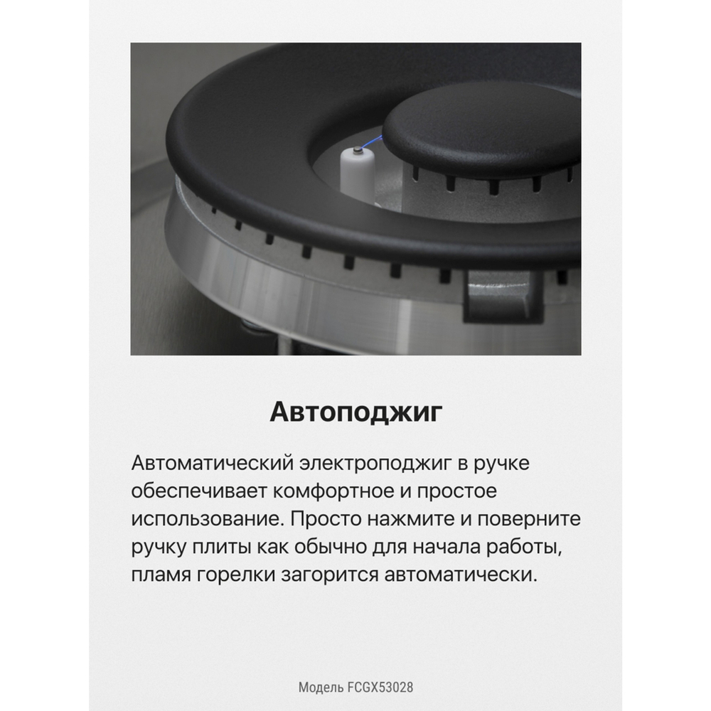 Газовая плита Hansa FCGX53028