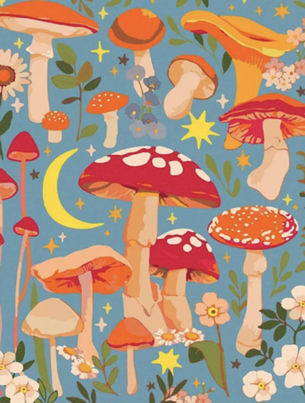 Картина по номерам Мухомор арт