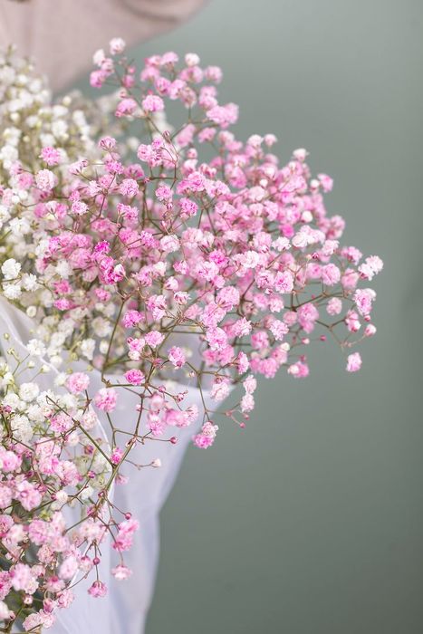 Тренд осени 2025 Букет-зонтик с нежной и лёгкой гипсофилой