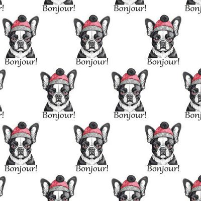 Собака породы Французский бульдог