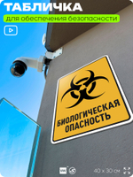 Табличка для обеспечения безопасности "Биологическая опасность", для производства, предприятия, организаций, 40х30 см, Silver Plane x Айдентика Технолоджи