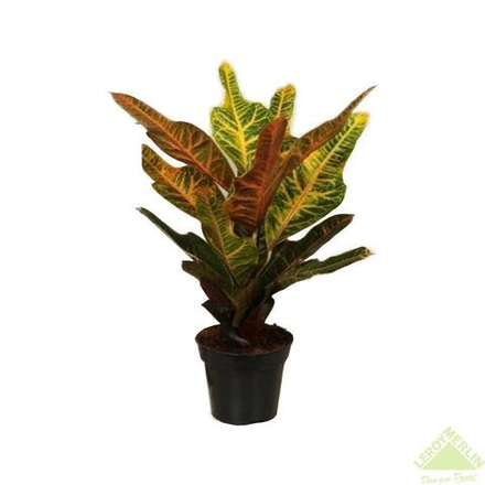 Растение искусственное Кротон 30 см DIY-SY047