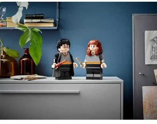 Конструктор LEGO Гарри Поттер и Гермиона Грейнджер (76393)