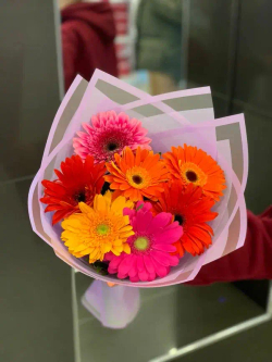 Букет из 7 гербер в пленке