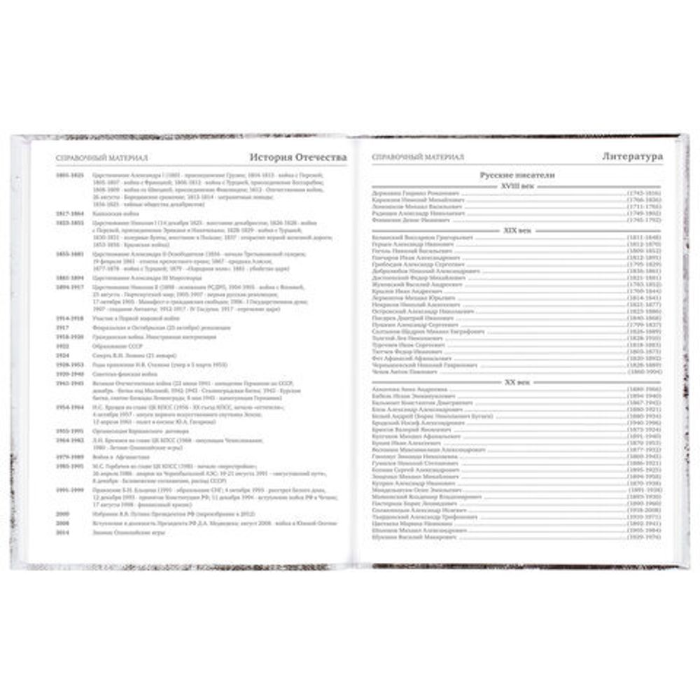 Дневник 5-11 класс 48 л., твердый, BRAUBERG, глянцевая ламинация, с подсказом, "Крутой Байк", 106391