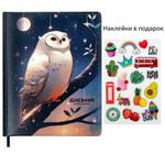 Дневник 1-11 класс 48 л., кожзам (твердая с поролоном), печать, наклейки, BRAUBERG, "Сова", 106947