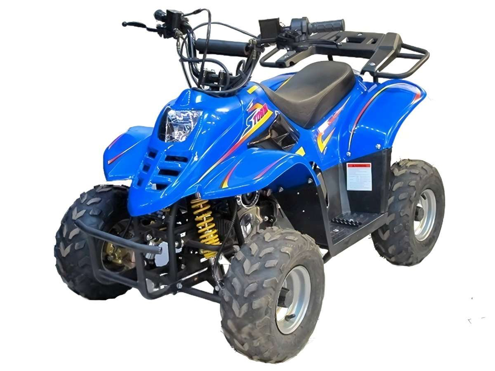 Квадроцикл BISON Super Mini 110