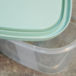 Набор контейнеров 4шт пищевые (0,5л, 0,9л, 1,55л, 2,65л) BioFresh