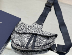 Christian Dior Saddle 26 cm