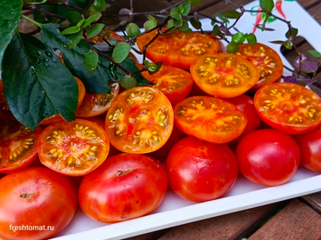Черри Радуга (Rainbow Cherry) сорт томата