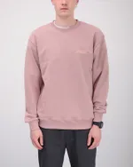 Толстовка ANTEATER Crewneck Пудра