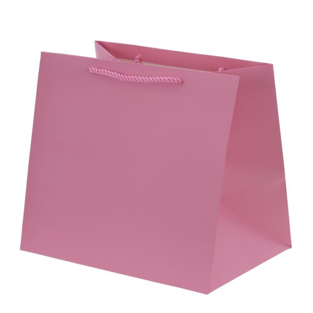 GAEM Пакет подарочный (бумага 230г/м2, блок 12шт), L28 W20 H25 см, 5в.