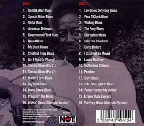 Son House / Raw Delta Blues - The Best Of The Bottleneck Blues (2CD)