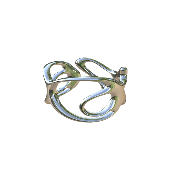DCW RING (ПРЕДЗАКАЗ)