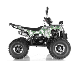 AVANTIS C200 2020г (А) Lux (Осенний камуфляж)