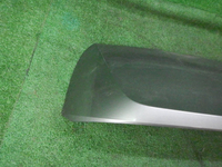 DSCN5395.JPG