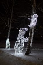 световые фигуры Мишки в лесу