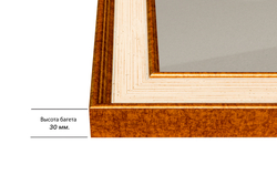 Рамка 39,7x49,7 для постера и фотографий