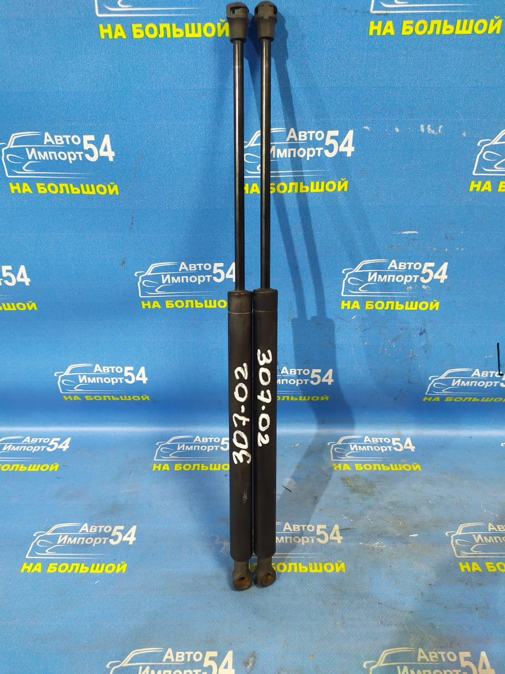 Амортизатор задней двери правый PEUGEOT 307 2006