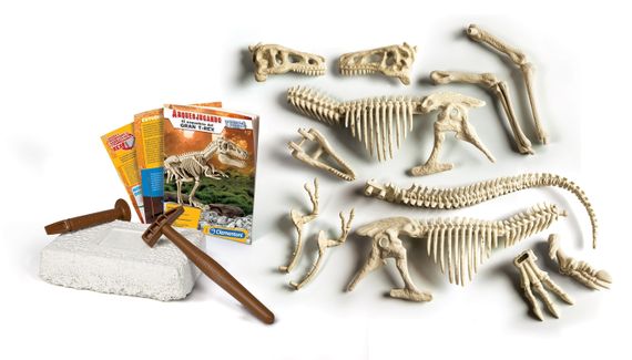 ARCHEOF.TRICERATOPS GLOW IN