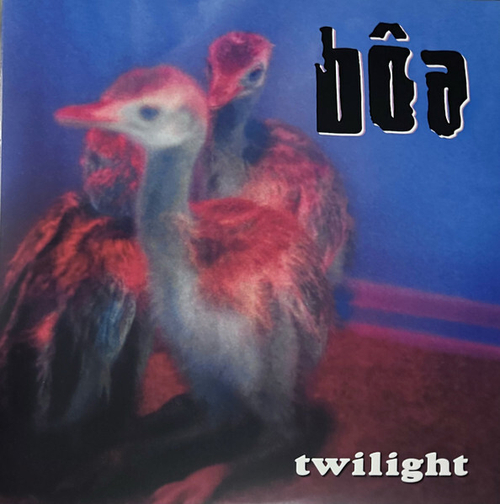 boa - Twilight